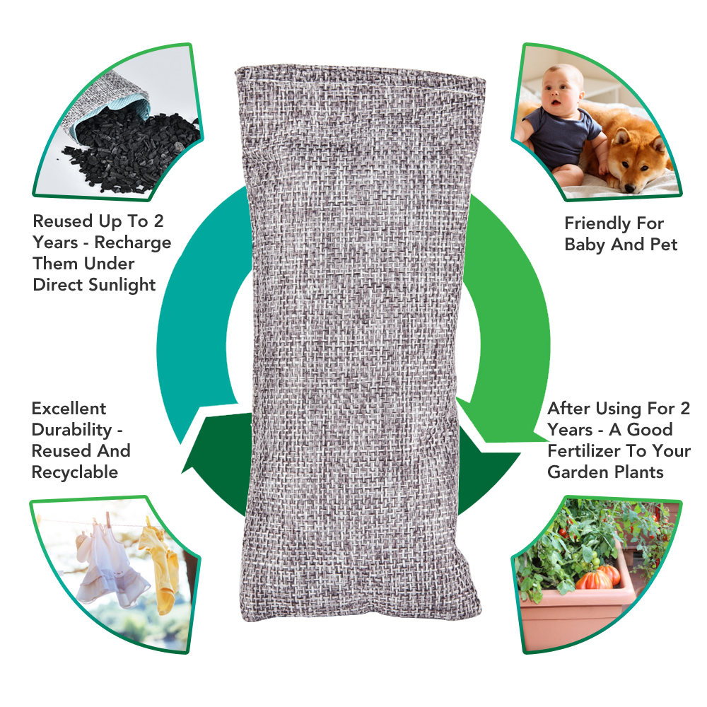 10pcs Natural Bamboo Charcoal  - Odor Eliminator Car のレビューと価格